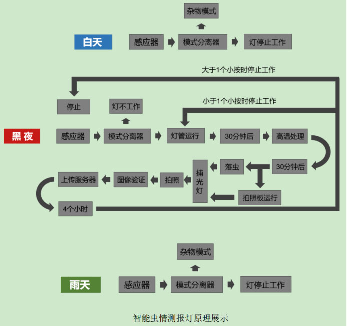 蟲情測(cè)報(bào)燈